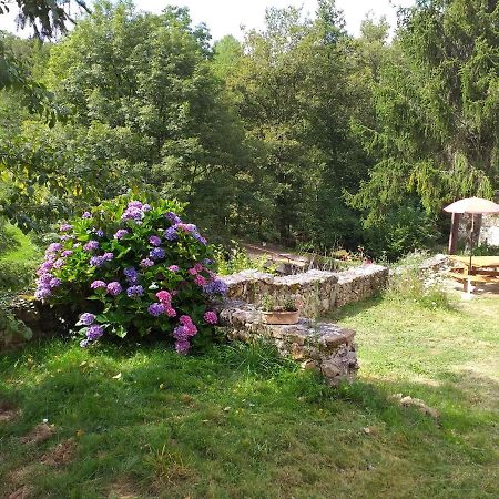 Gite Moulin De Ludieras Busserolles ภายนอก รูปภาพ