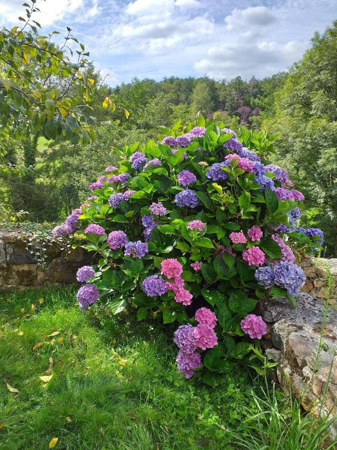 Gite Moulin De Ludieras Busserolles ภายนอก รูปภาพ